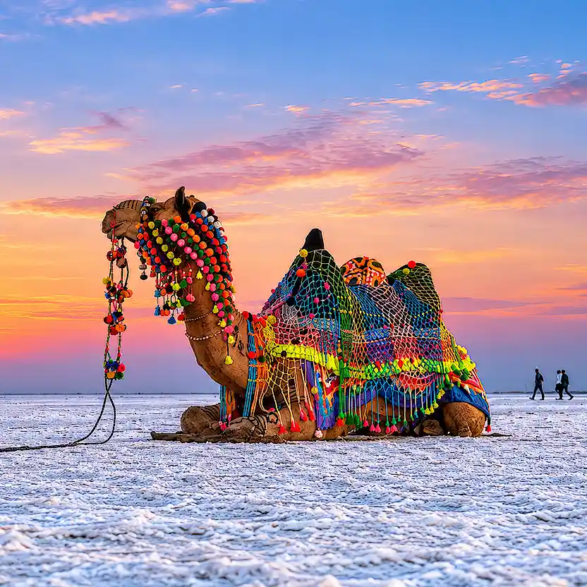 Rann Utsav