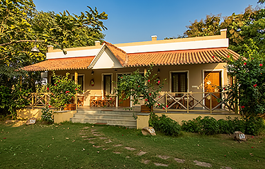 Asiatic Lion Lodge Gir Soil to Soul Team
