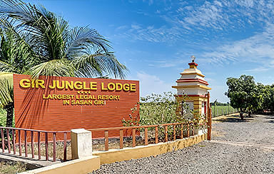 Gir Jungle Lodge , Sasangir