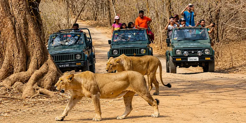 Dwarka | Somnath | Gir