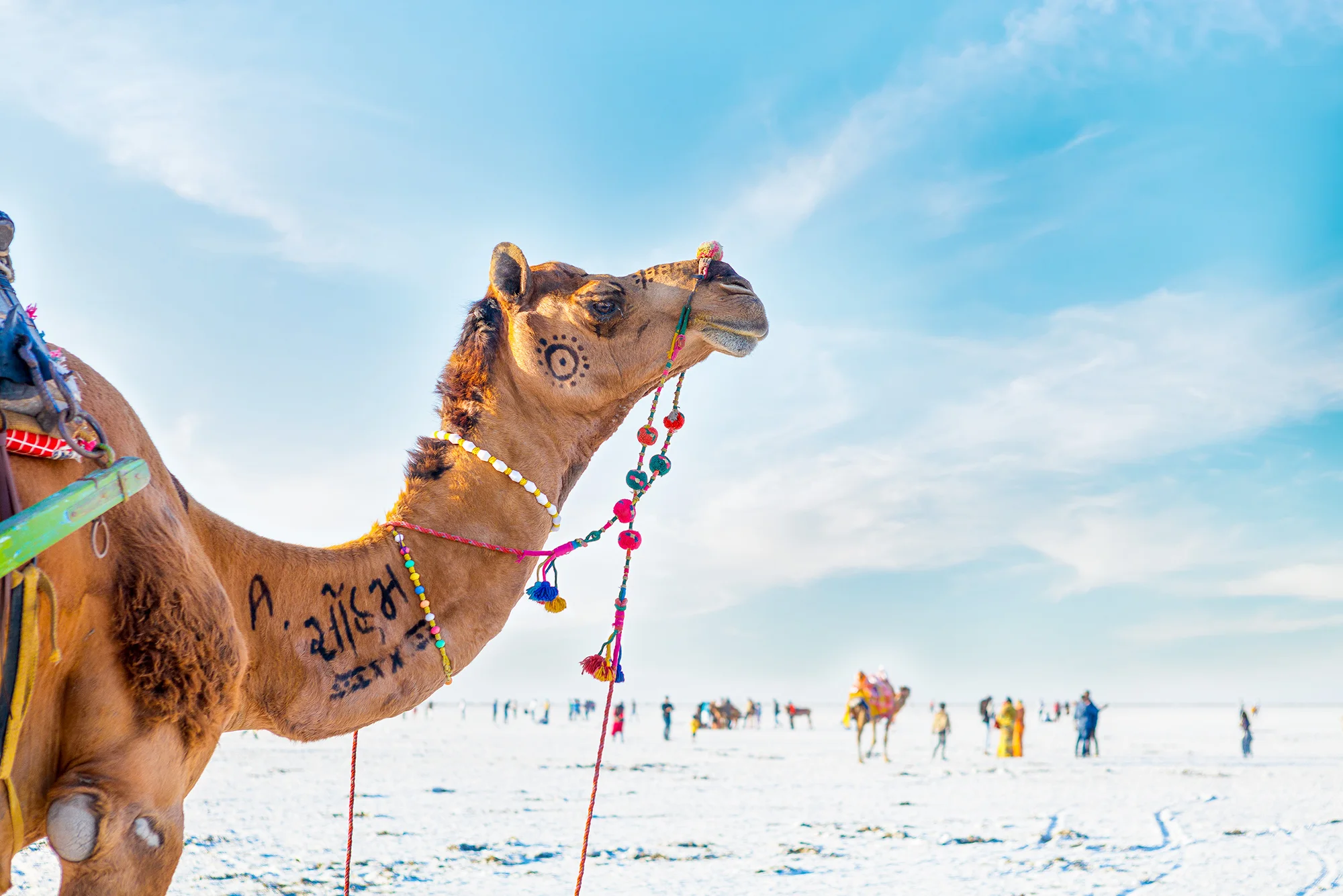 Rann Utsav · The Tent City · 1 Night/2 Days